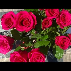 Meet your Posher, Act